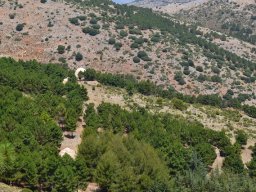 Valle de Leiva-Perdiz 2010